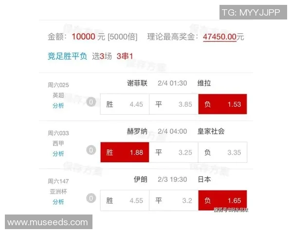 荷兰与伊朗足球明星阵容对比分析及其历史成就探讨